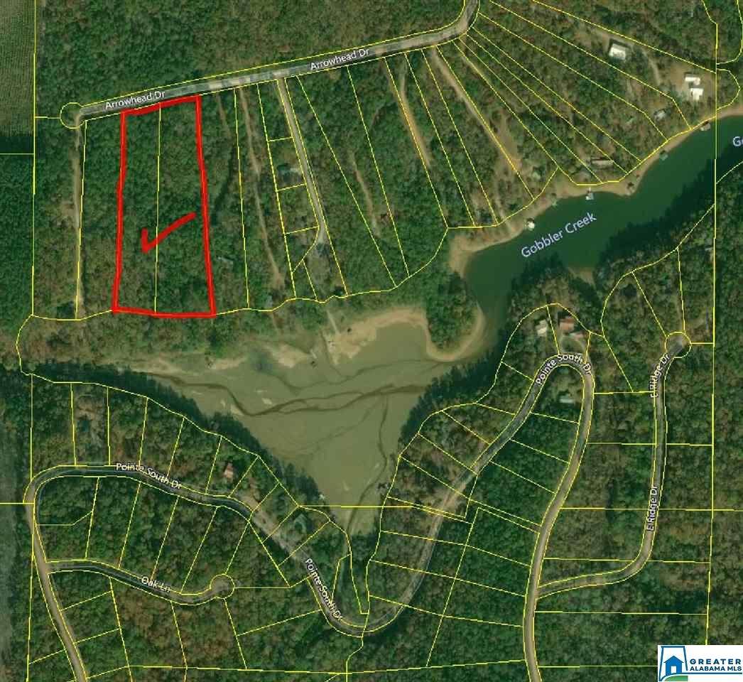 Arrowhead Dr - Photo 1