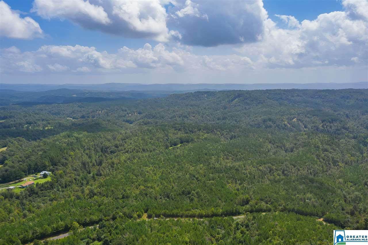 0 Co Rd 518 - Photo 1