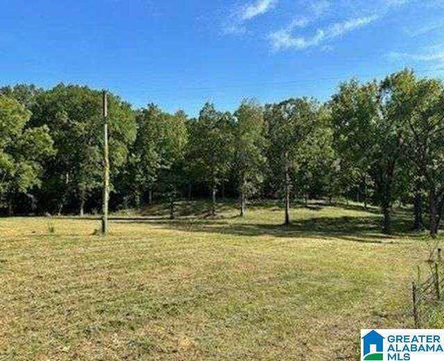 2450 Spring Creek Road - Photo 1