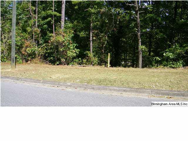 Lot 129 Avery Dr - Photo 1