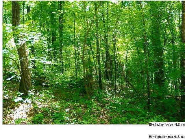 951 Lakeview Crest Dr - Photo 1