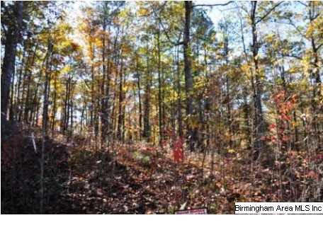 Lot 3 Overlook Dr - Photo 1