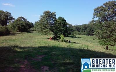Co Rd 40 - Photo 1