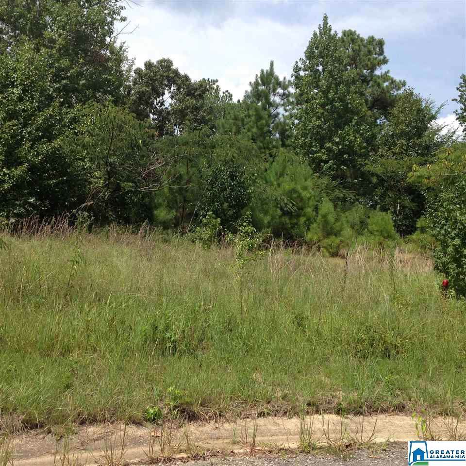 Lot 3 Hillcrest Ct - Photo 1 Lot 3 Hillcrest Ct - Photo 1
