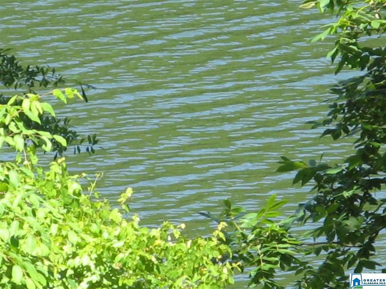 Paint Creek Overlook - Photo 1