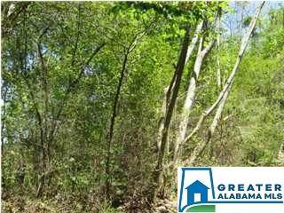 5965 Tyler Loop Rd - Photo 1