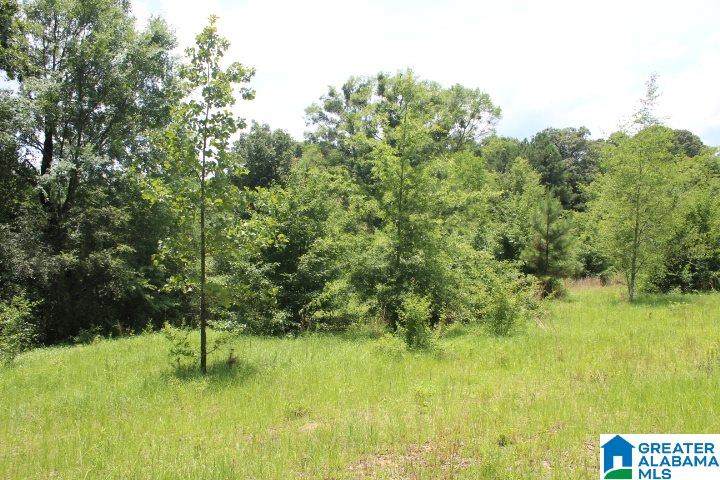 0 Hwy 61 - Photo 1