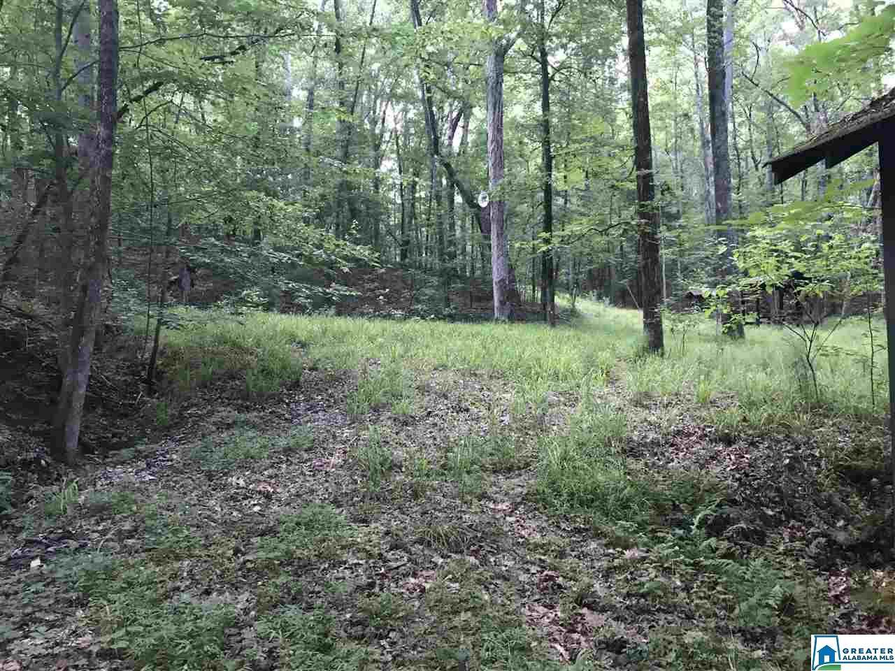 7981 Blackie Curren Rd - Photo 1