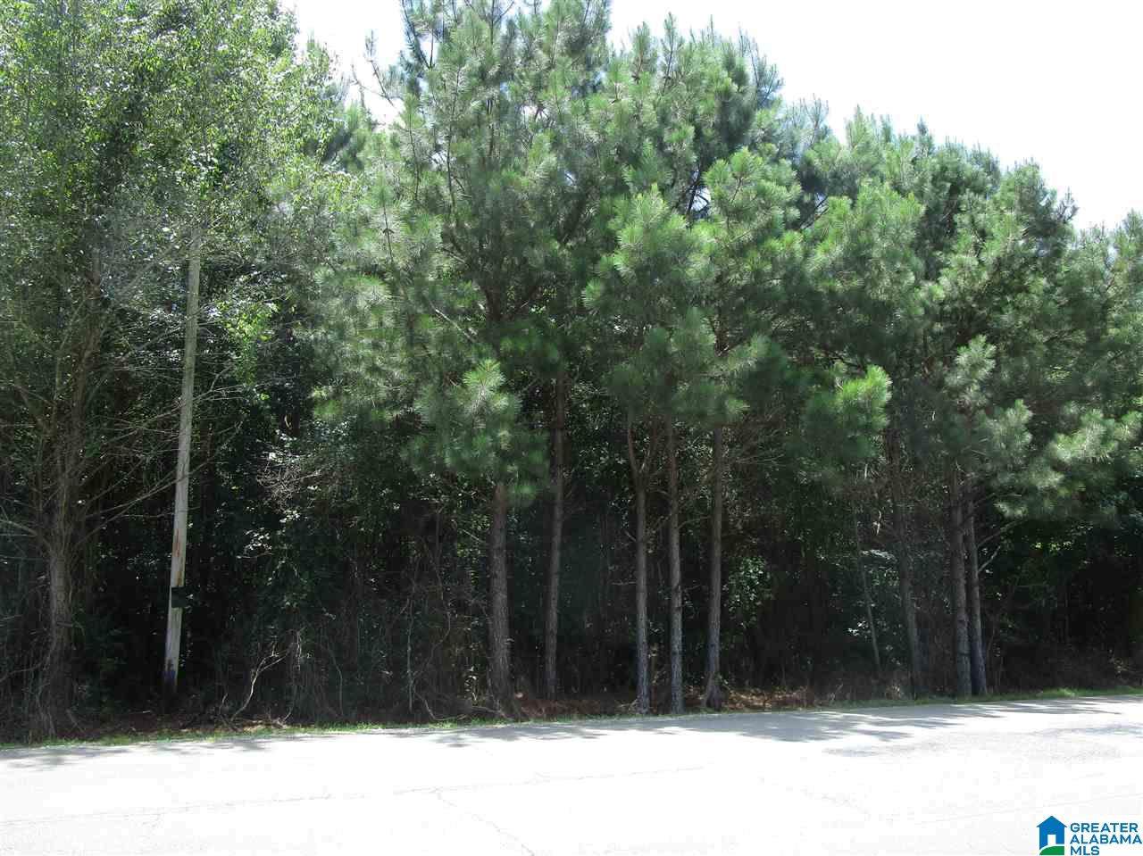 Old Clear Creek Road - Photo 1