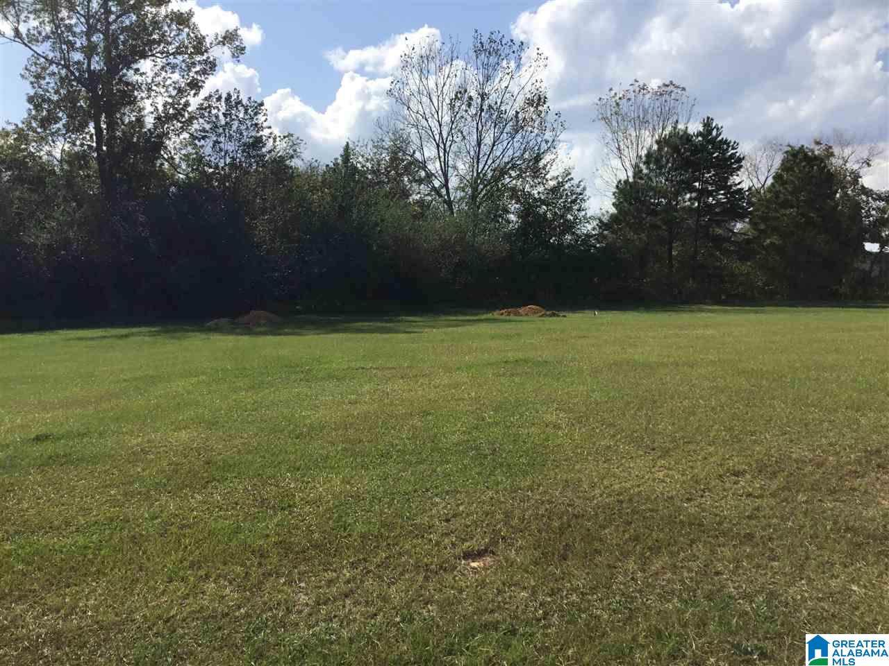 114 Gentle Meadow Drive - Photo 1