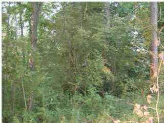 145 Highland View Drive - Photo 1