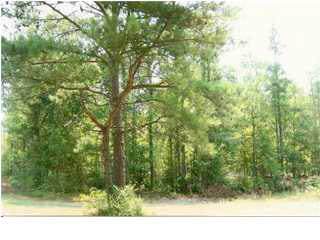 110 Highland View Drive - Photo 1