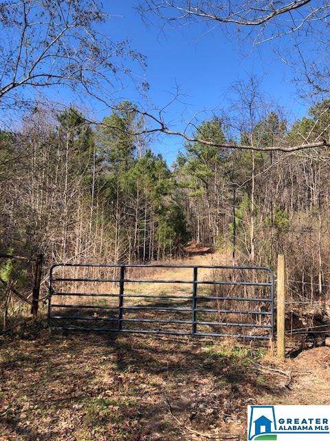 0 Blackjack Rd - Photo 1
