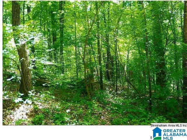5018 Collins Dr - Photo 1
