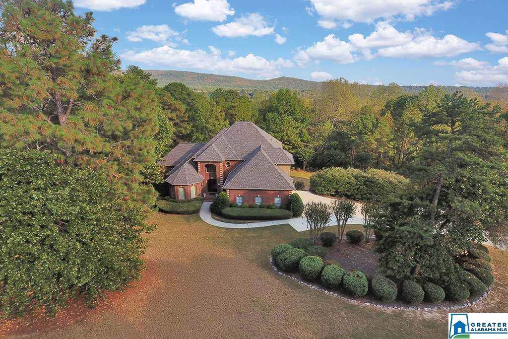 119 Swan Lake Cir - Photo 1
