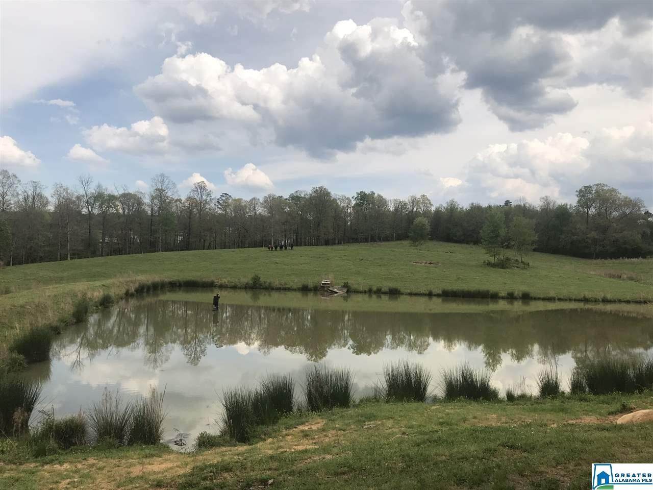 1241 Reneau Rd - Photo 1