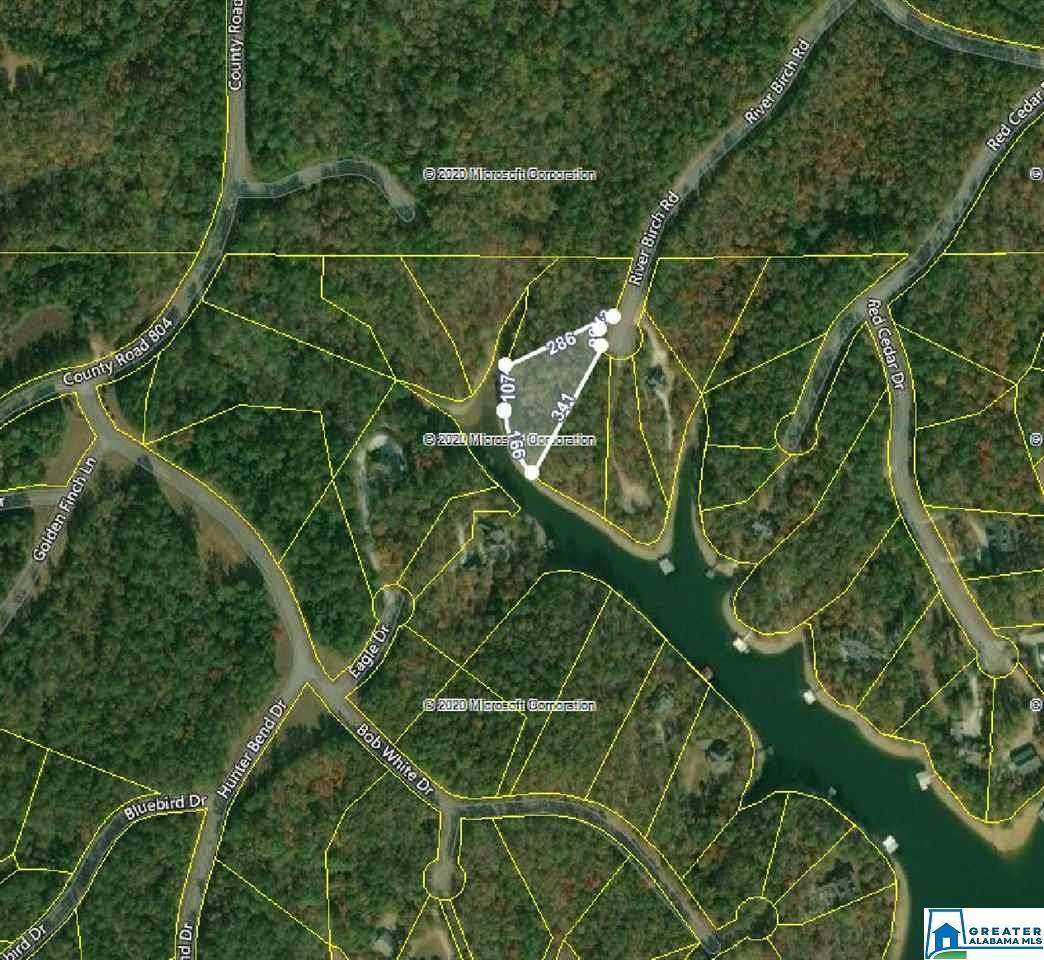 Lot-106 River Birch Rd - Photo 1