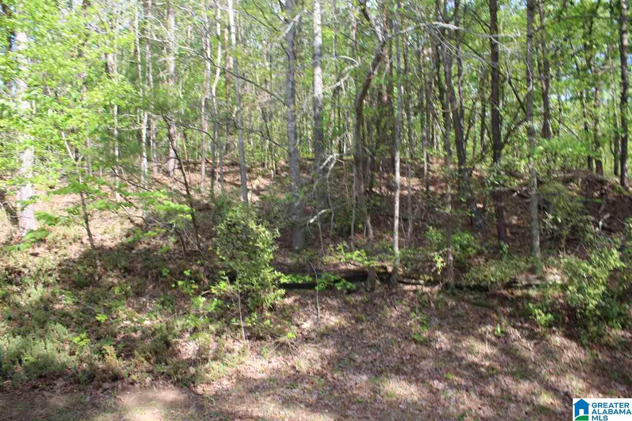 0 Highland Dr - Photo 1