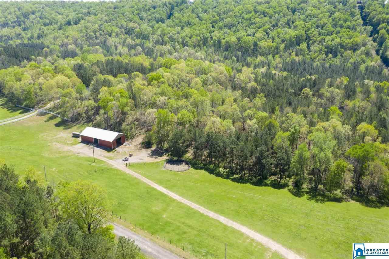 5350 War Eagle Dr - Photo 1