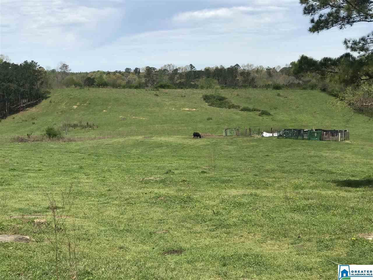 1241 Reneau Rd - Photo 1
