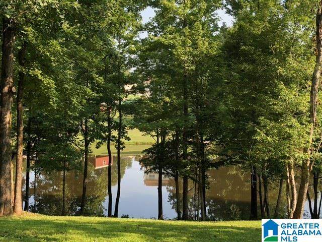 113 Georgia Manor Lane - Photo 1