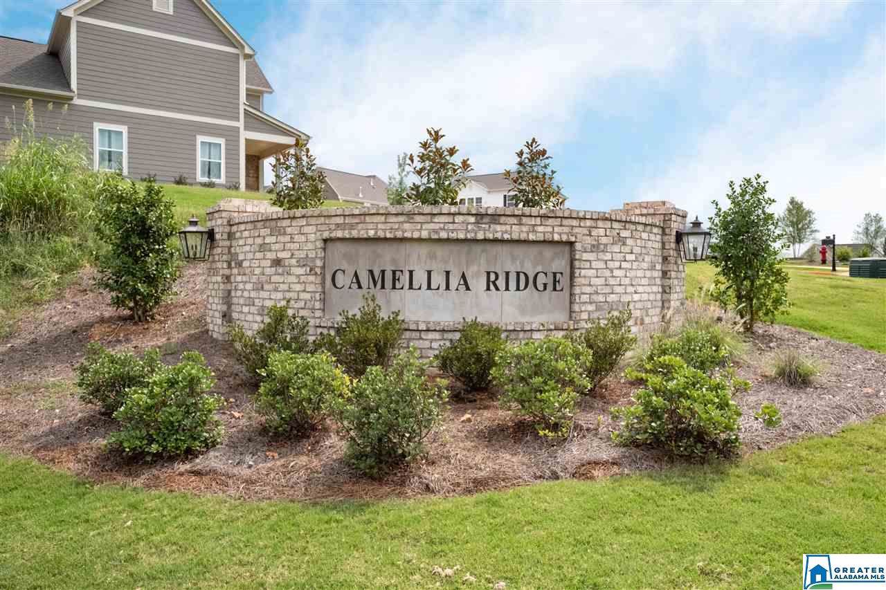 3036 Camellia Ridge Ct - Photo 1