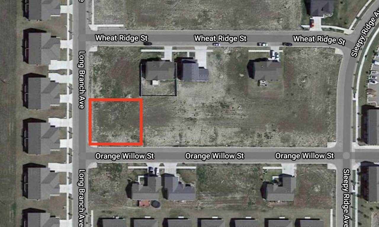 Tbd Orange Willow Street - Photo 1
