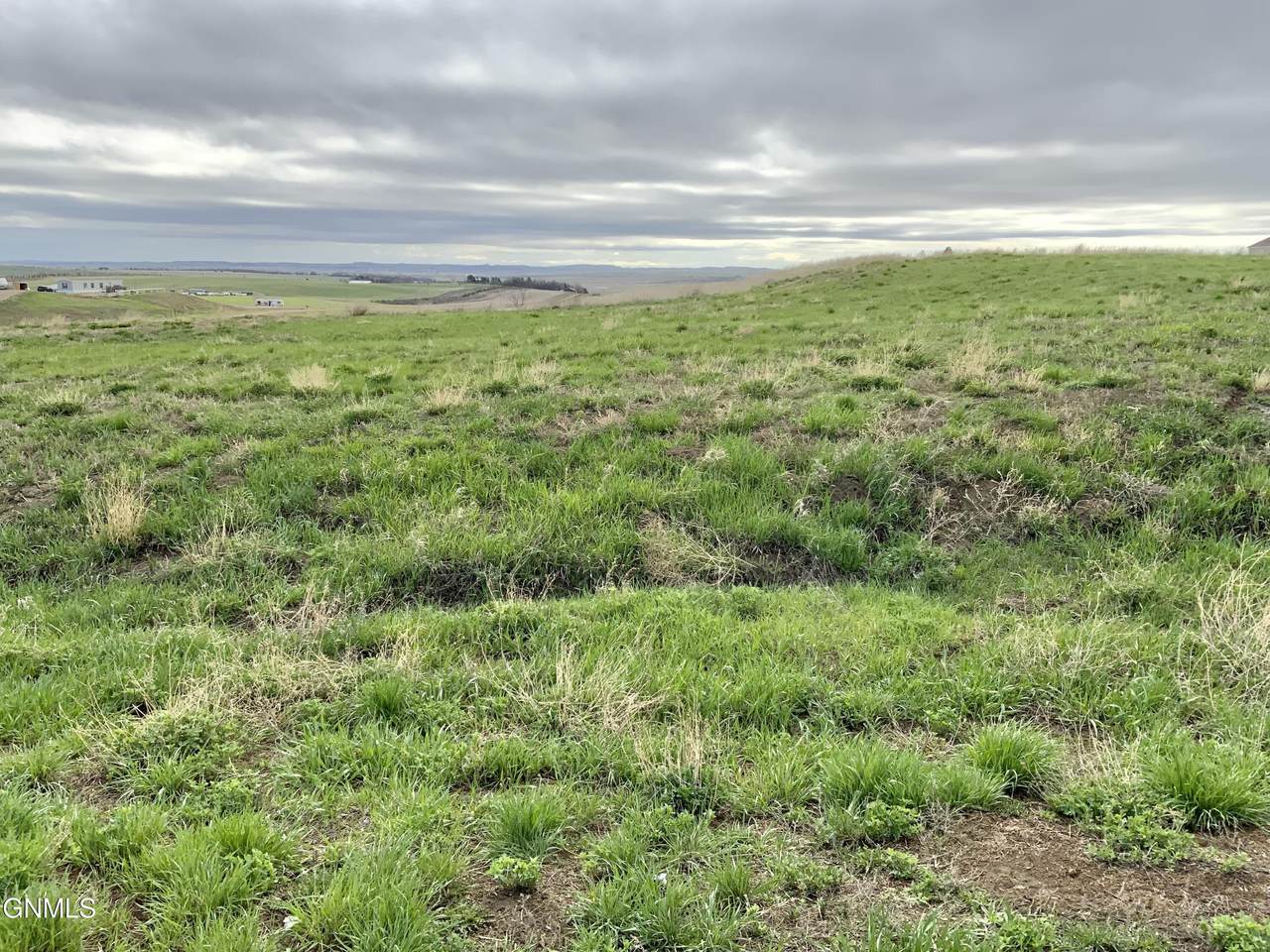 2806 2nd Street - Photo 1