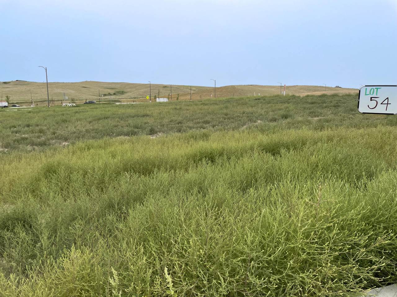 Lot 54 Leslie Lane - Photo 1