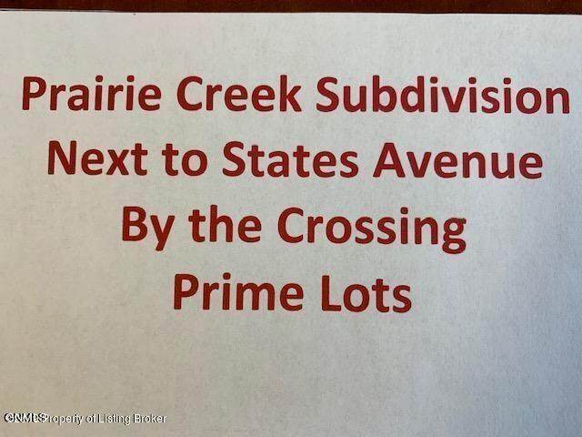 Blk5 Lot7 Prairie Creek Road Drive - Photo 1