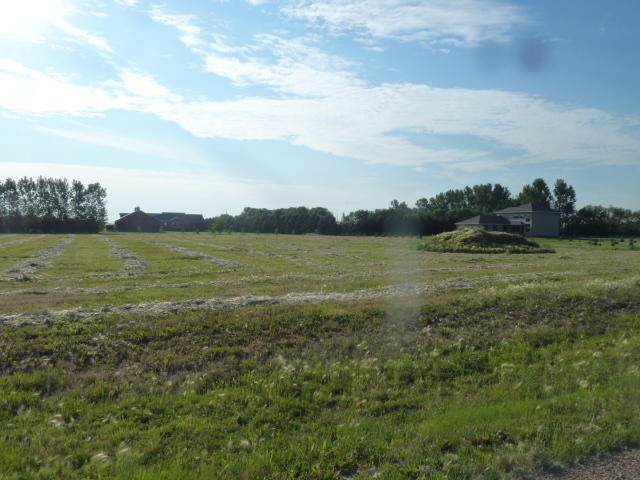 3110 Hoggarth Drive - Photo 1