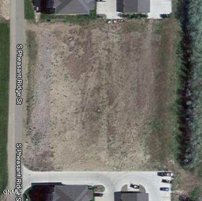 Tbd S Pheasant Ridge - Photo 1