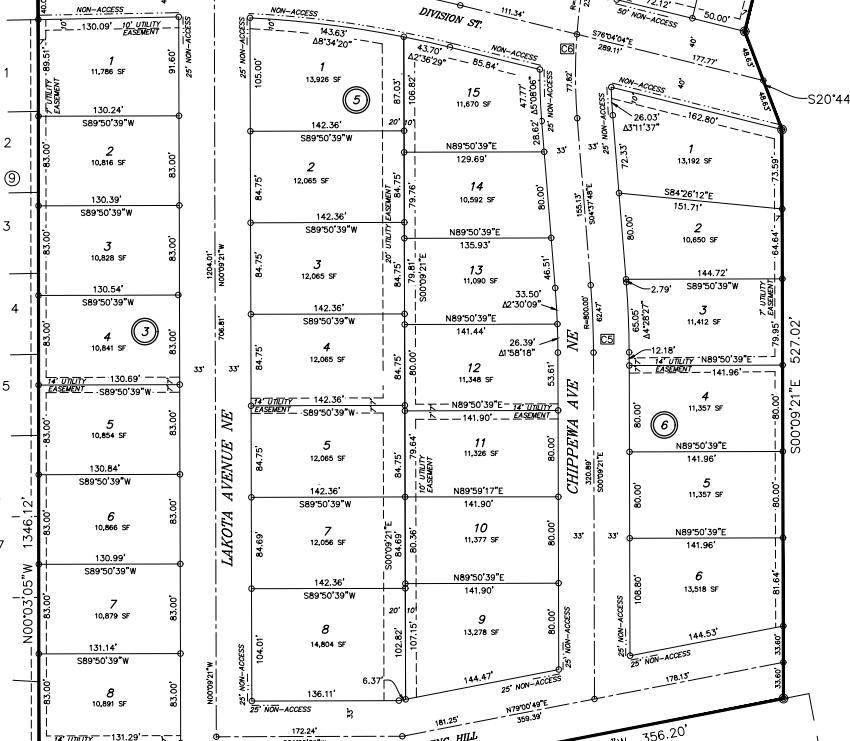 1006 Lakota Ave Ne - Photo 1