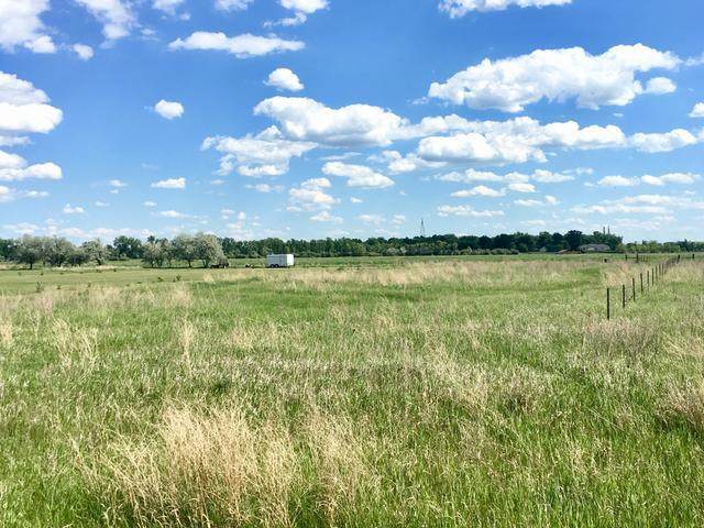 6431 Island Road - Photo 1