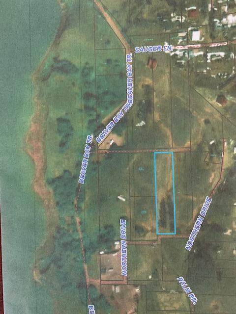 Lot 31 Beaver Bay Trail - Photo 1