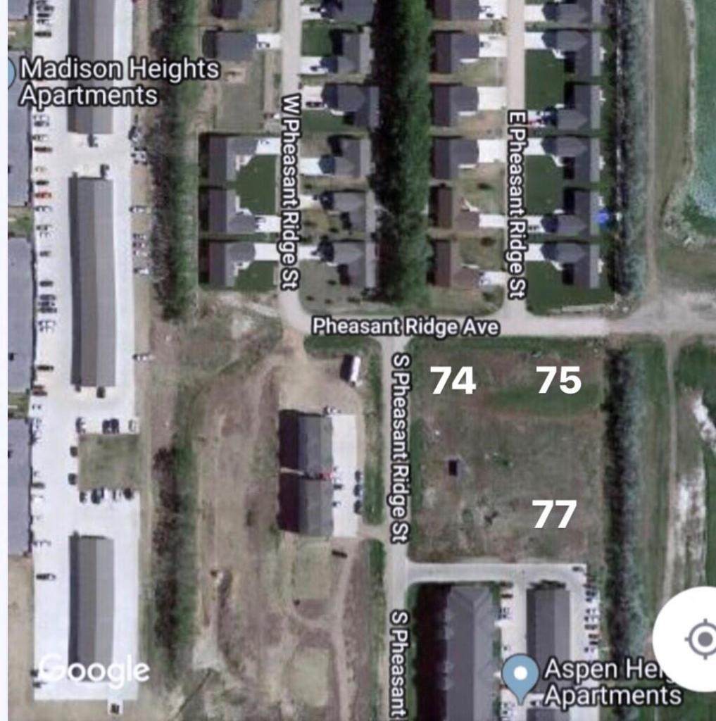 1212 S Pheasant Ridge Street - Photo 1