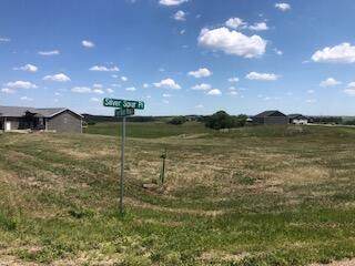 13819 Trail Boss Way - Photo 1