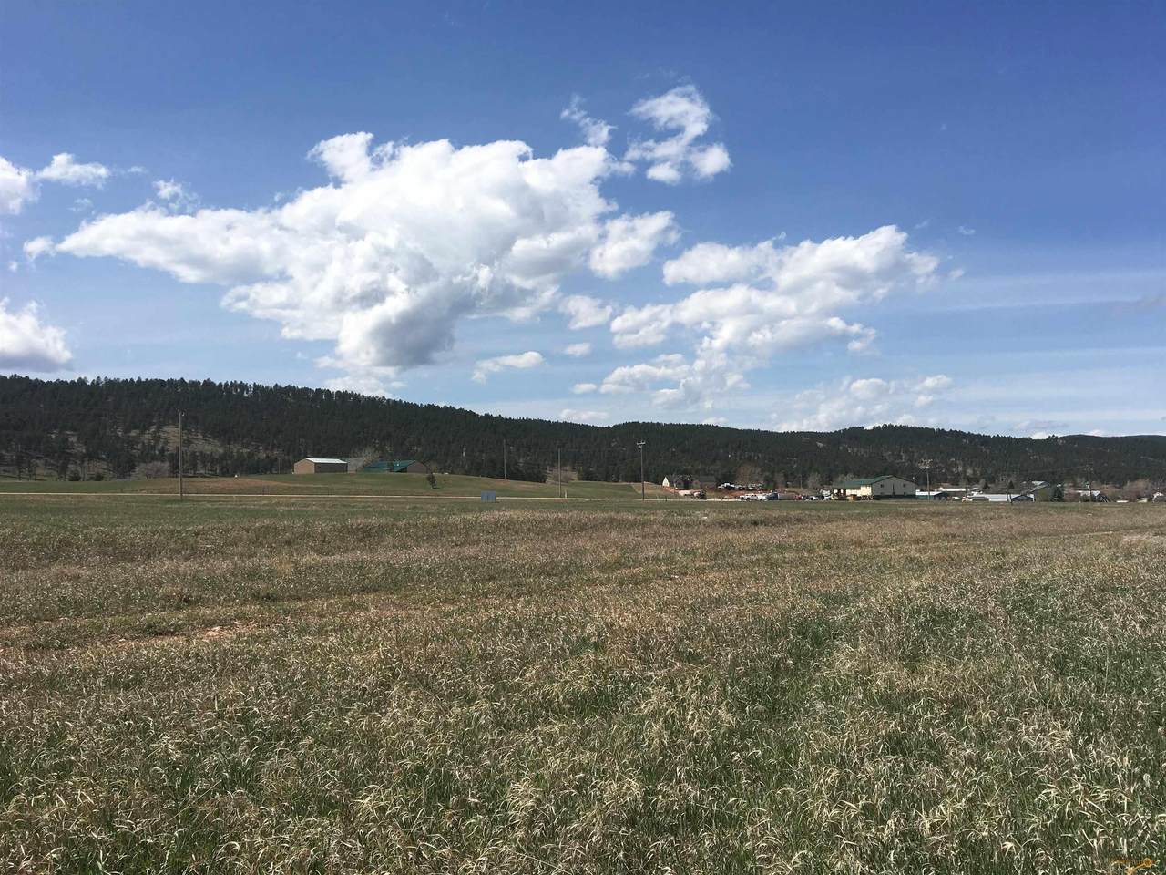TBD Republic Rd - Photo 1