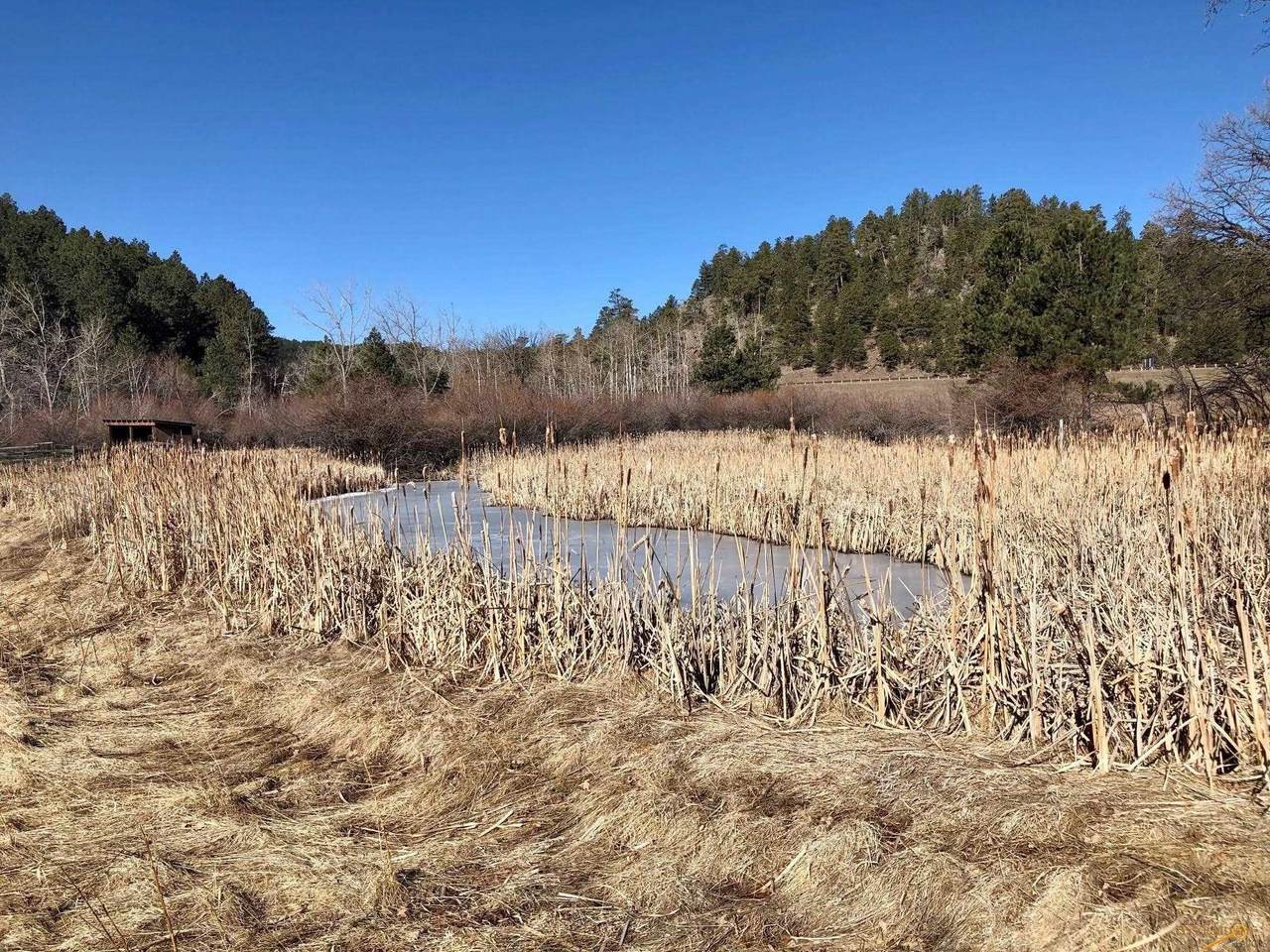 13217 Klondike Rd - Photo 1