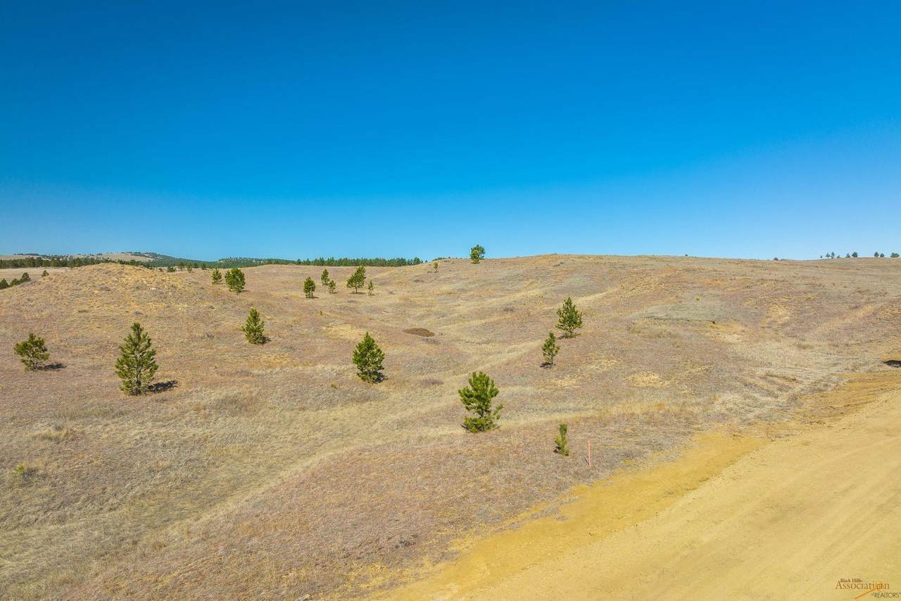 Lot 19B Sweet Pea Ln - Photo 1