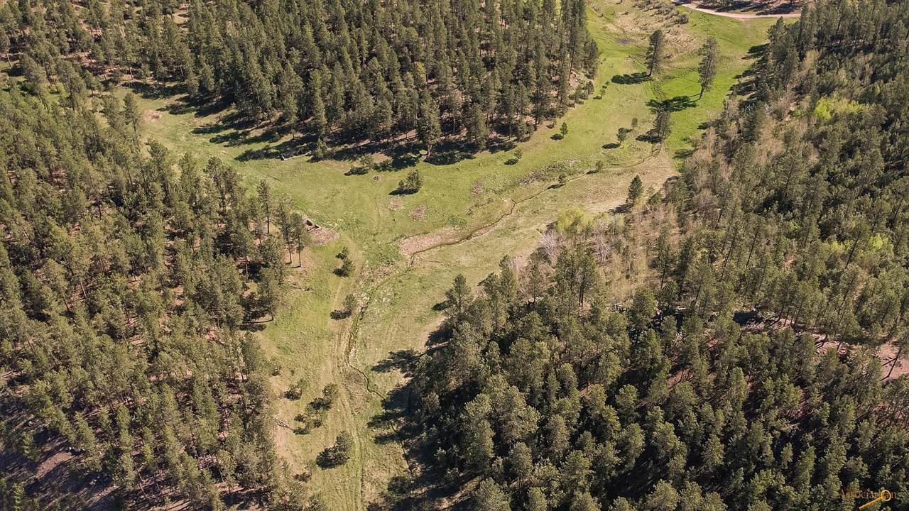TBD Hwy 385 - Photo 1