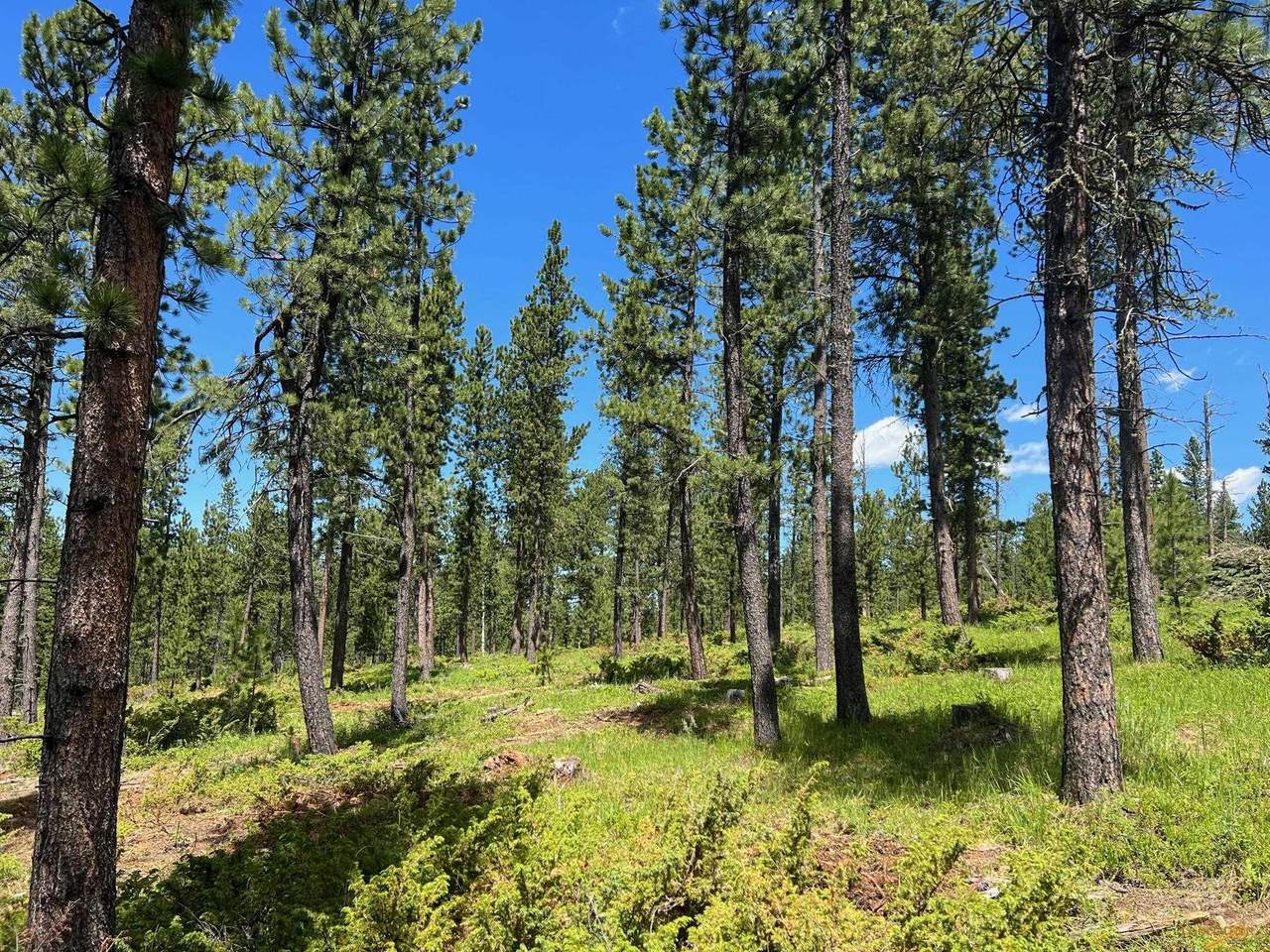 Lot 1 Boles Canyon Rd - Photo 1