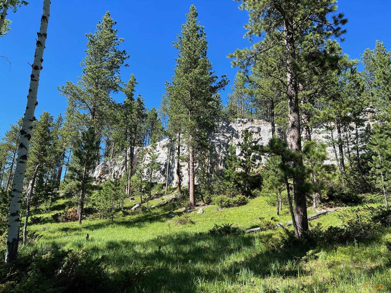 Lot 2 Boles Canyon Rd - Photo 1