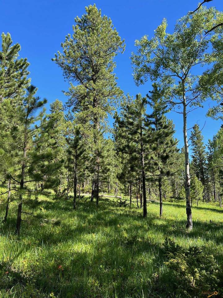 Lot 3 Boles Canyon Rd - Photo 1