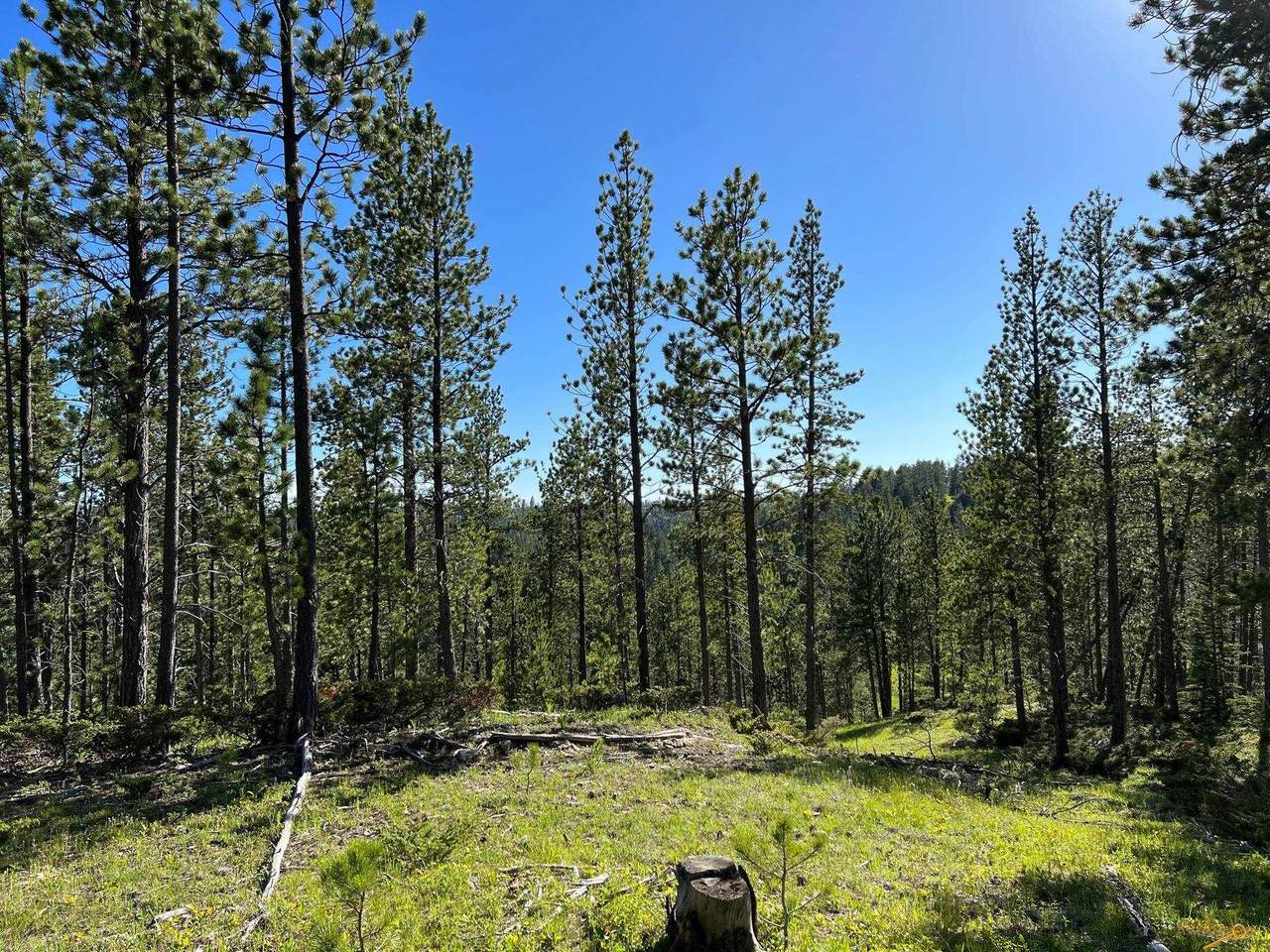 Lot 6 Boles Canyon Rd - Photo 1