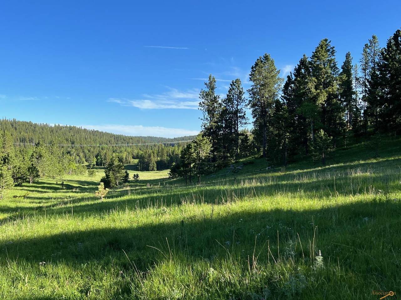 Lot 8 Boles Canyon Rd - Photo 1