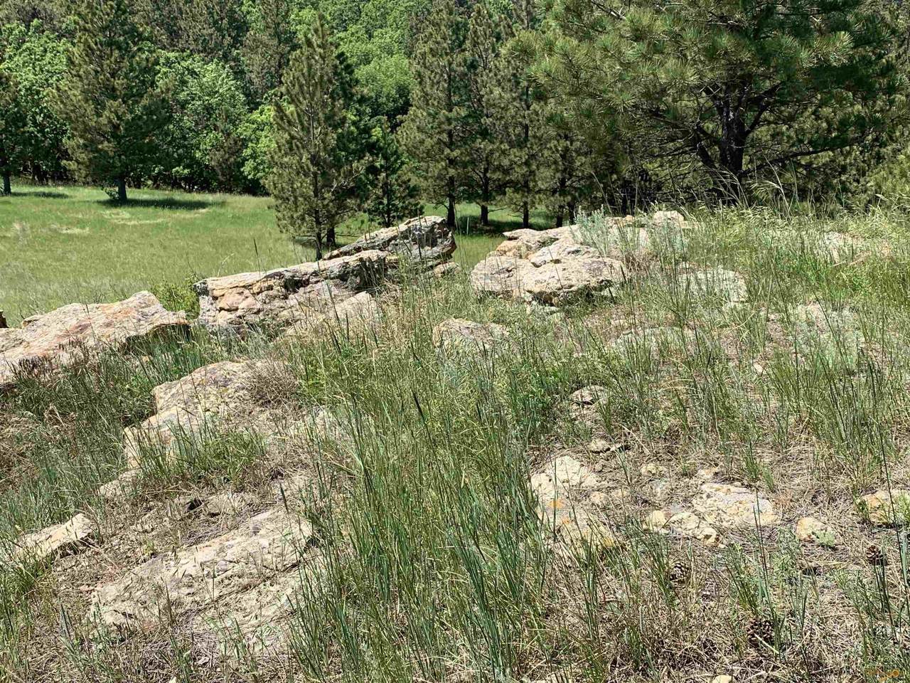 LOT 6 Prairie View Loop - Photo 1