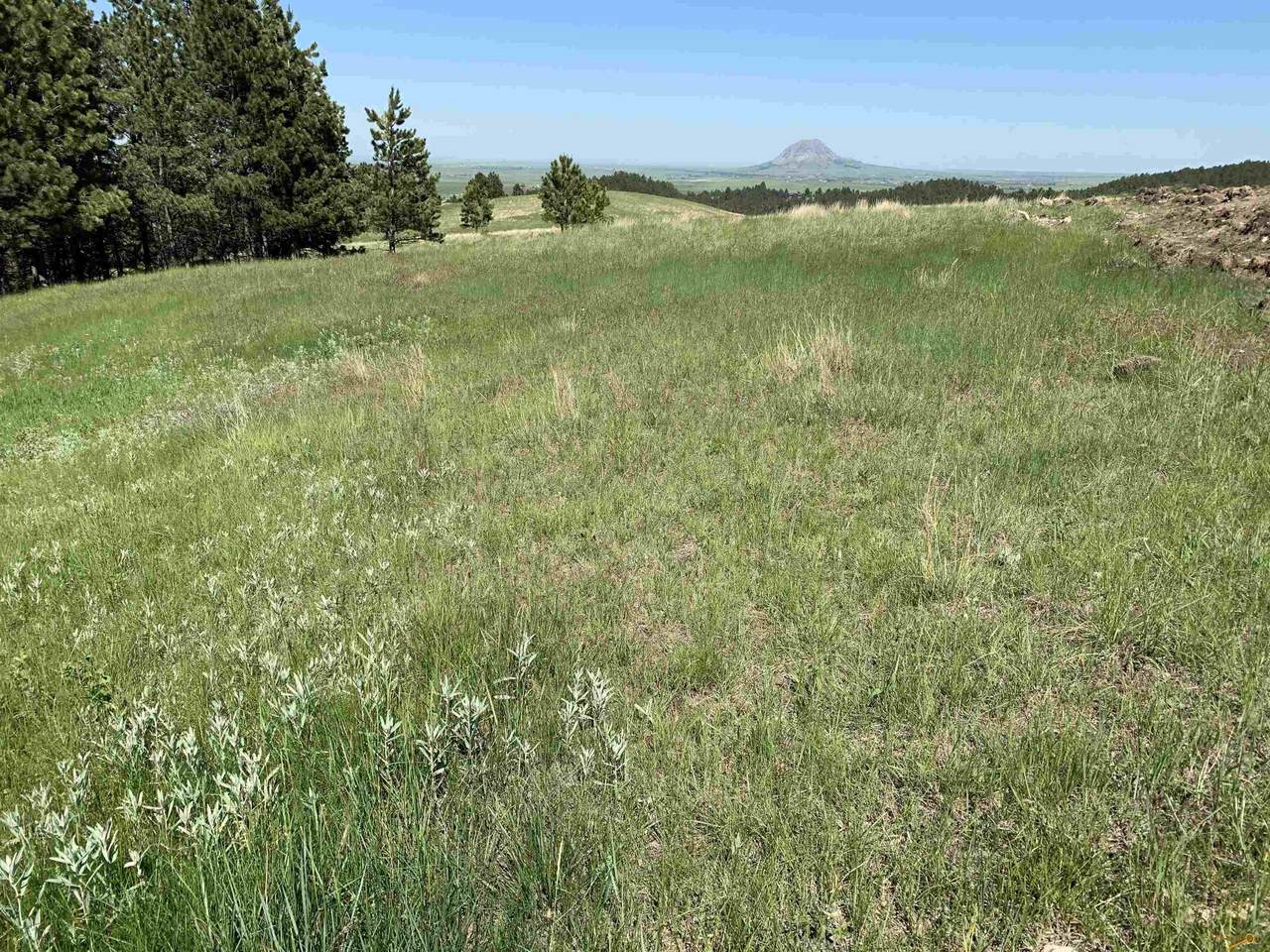 LOT 35 Prairie View Loop - Photo 1
