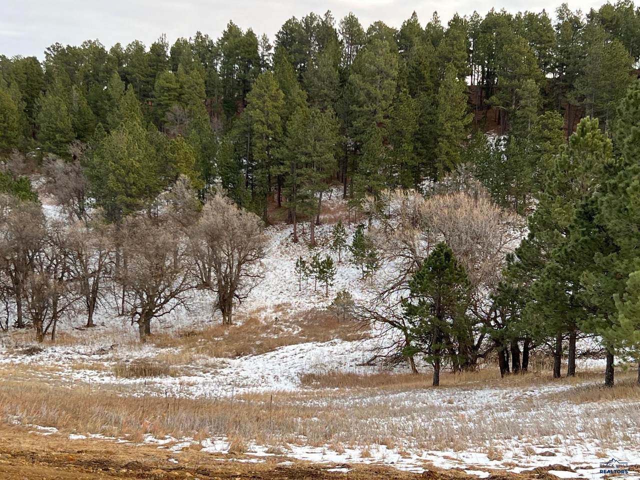 https://bt-photos.global.ssl.fastly.net/blackhills/1280_boomver_1_171692-2.jpg
