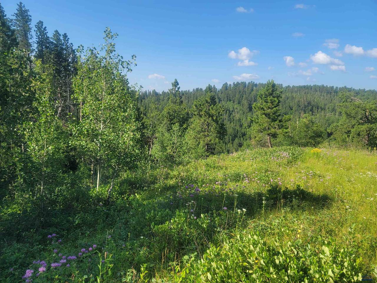 TBD Last Chance Trail - Photo 1